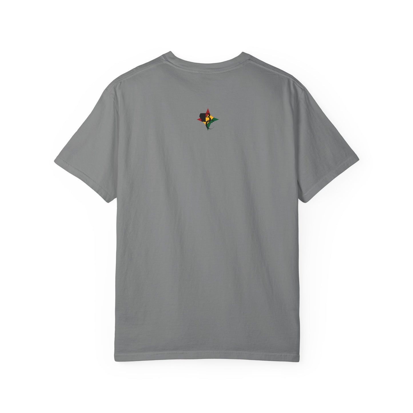 Black Excellence T-Shirt - Passionate & Persistent, Unisex Tee for Celebrating Black History, Inspirational Gift, Everyday Wear, [...]