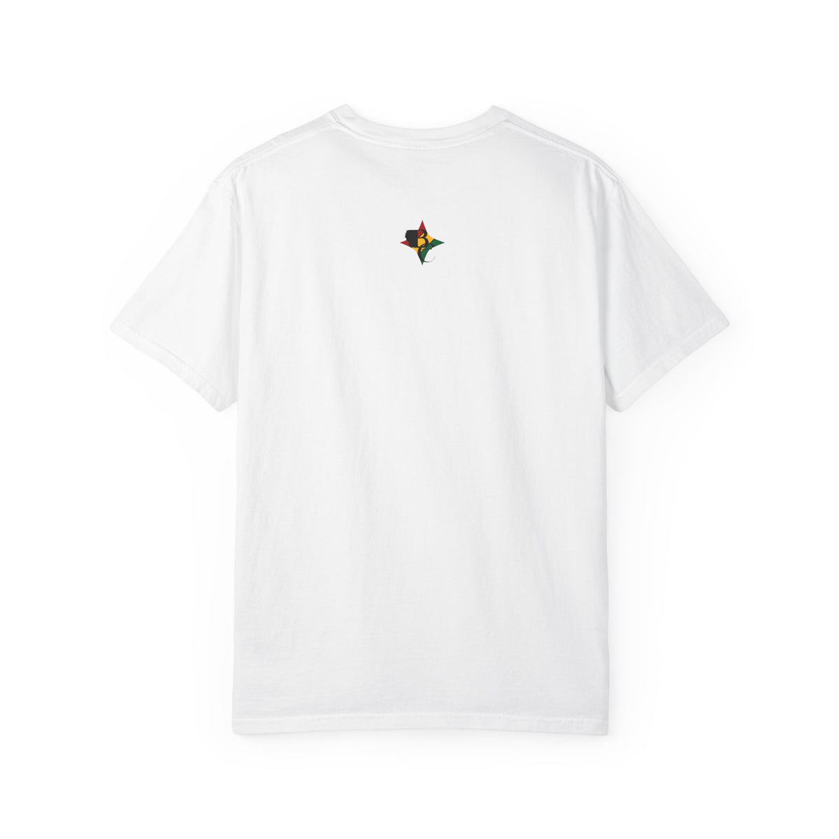 Black Excellence T-Shirt - Passionate & Persistent, Unisex Tee for Celebrating Black History, Inspirational Gift, Everyday Wear, [...]